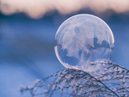 feather, dream catcher, nature, leaf, round, circle, glass