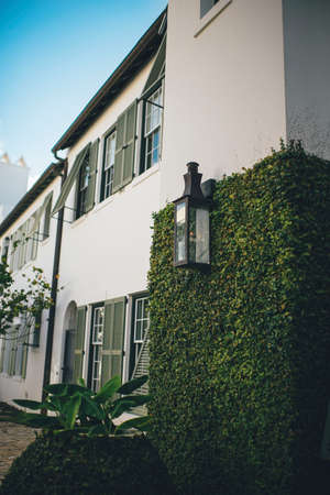 architecture, building, infrastructure, structure, establishment, apartment, windows, green, leaves,...