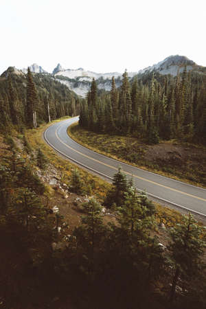 trees, plant, nature, path, road, forest, aerial, view, mountain, landscape, mountain