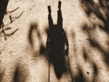 sand, beach, sunny, summer, shadow, swing