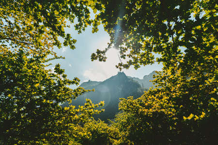 green, leaf, plant, nature, trees, sunny, day, mountain, view, landscape, sky