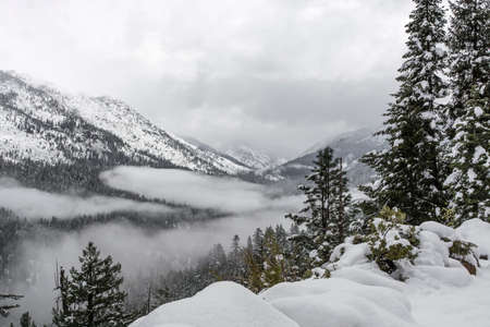 nature, landscape, snow, winter, cold, weather, white, mountain, travel, adventure, trees, leaves,...