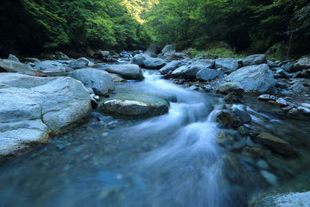 nature, landscape, water, river, lake, stone, rock, leaves, trees, green