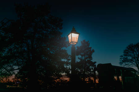 pole, lamp, outside, trees, plant, night, light, sky