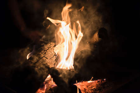 fire, flame, bonfire, campfire, firewood, burn, night, heat