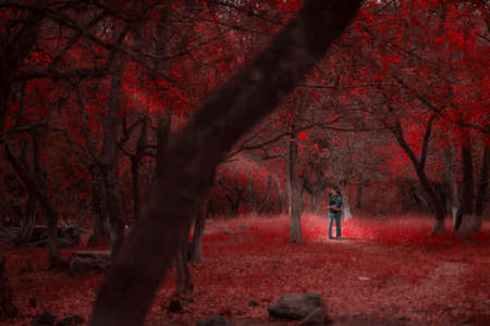 nature, forest, trees, woods, red, people, couple, love, romance, sunlight
