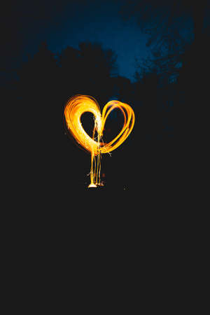 photography, heart, light, painting, nature, trees, night, dark