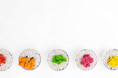 plants, bonsai, colorful, cactus, thorn, pot, pebbles, stone, small, white, table