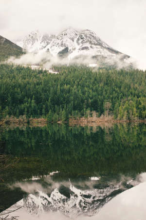 green, trees, plant, nature, forest, lake, water, reflection, mountain, fog, snow, winter, outdoor,...