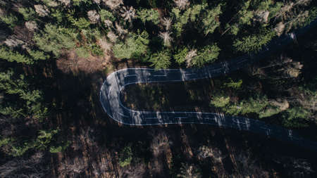 aerial, view, road, adventure, travel, green, trees, plant, nature