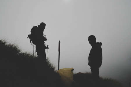 nature, grass, people, group, friends, silhouette