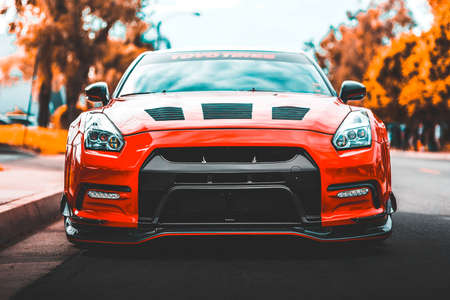 orange, car, vehicle, travel, road, trip, tree, plant