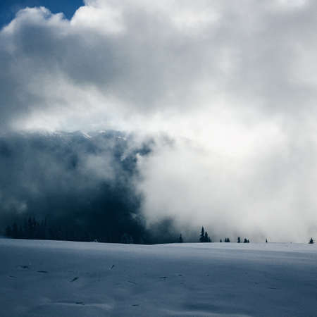mountain, highland, snow, winter, fog, cold, trees, plant, nature