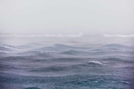 sea, ocean, water, waves, nature, fog, rain