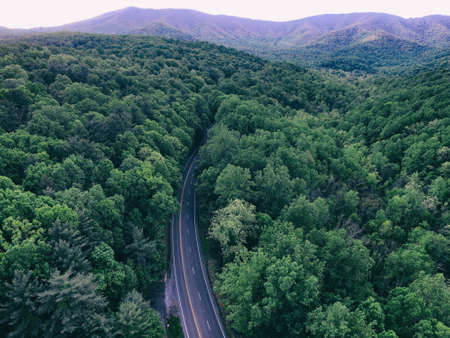 green, trees, plant, nature, forest, road, travel, aerial, view, mountain, landscape