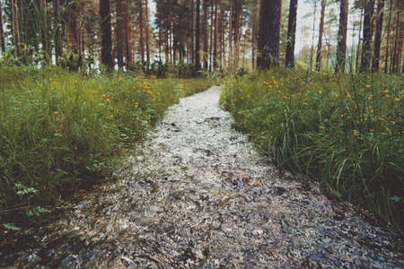 green, grass, outdoor, nature, water, flood, trees