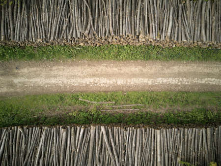 road, green, grass, woods, logs
