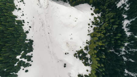 green, trees, plant, nature, forest, landscape, snow, winter, travel, aerial, view
