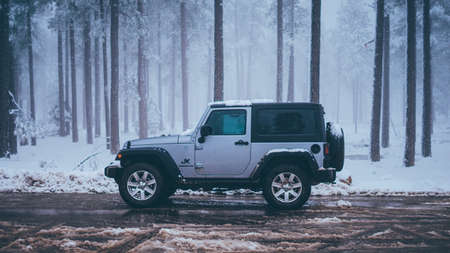 car, vehicle, transportation, travel, outdoor, road, trees, plants, nature, snow, winter, fog