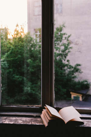window, glass, shield, book, read