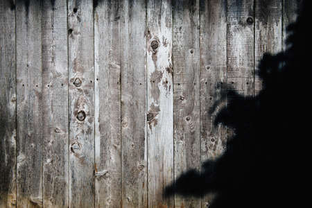 wood, wooden, floor, wall, shadow
