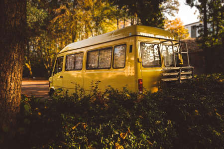 yellow, van, car, vehicle, green, plants, nature, trees, road