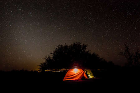 dark, night, sky, stars, trees, plants, nature, outdoor, adventure, tent, camping, lights