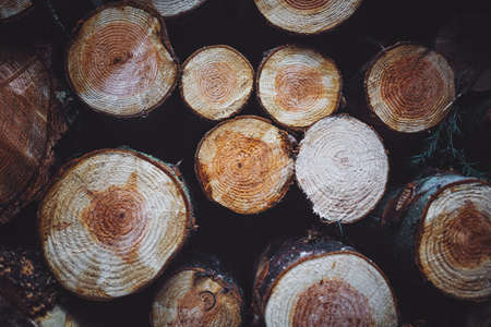 woods, logs, lumber, firewood