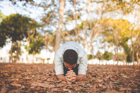 leaf, fall, autumn, trees, plants, nature, people, man, pray, cry