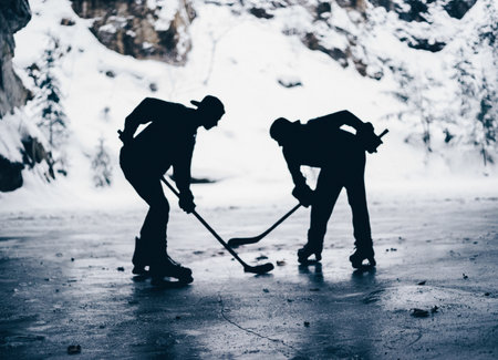 sports,  hockey,  ice hockey,  snow,  face off,  puck,  hockey stick, ice, winter, cold, people,...