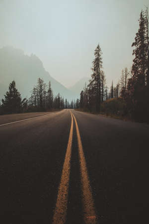 road,  movement,  drive,  driving,  pavement,  desert,  dirt,  landscape,  nature,  outdoors, ...