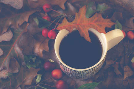 coffee,   cup,   black,   outdoors,   leaves,   autumn,   fall,   cherries,   fruit,   food,  ...