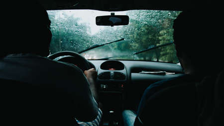driving,   car,   rain,   shadow,  silhouette,  wet,  wipers,  forest,  tree,  green,  steering...