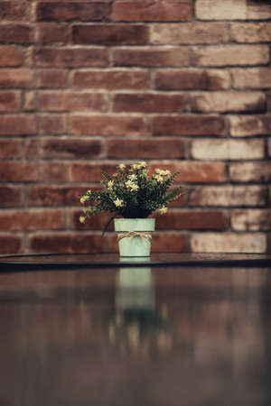 flowers,   pat,   plant,   bricks,   relection,   minimal,   leaves,   nature,   rustic,   table,  ...