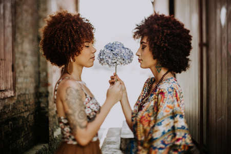 woman,   fashion,   afro,   hair,   beautiful,   female,   girl,   models,   photoshoot,   pose