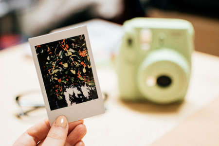 Polaroid,  Photo,  Close Up,  Fujifilm,   Camera,  Instant,  Green,   Woman,   People,  Hold,  Hand,...