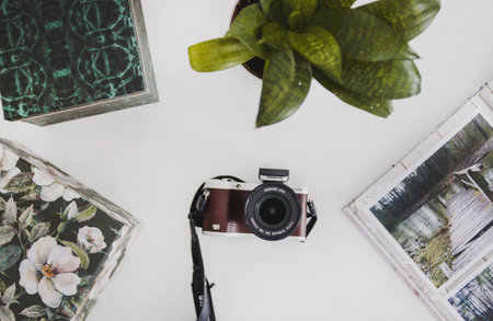 samsung,  camera,  plant,  photo,  photography,  digital,  technology,  art,  nature,  white, ...