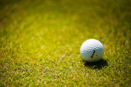 golf,  ball,  course,  grass,  green,  sport,  close up,  white