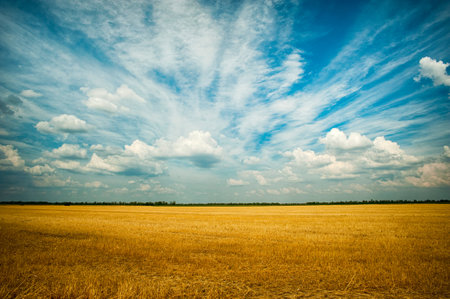 beautiful,  fam,  sky,  blue,  clouds,  dramatic,  wheat,  crops,  landscape,  streak