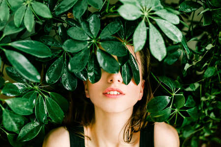 hiding,  woman,  plants,  nature,  people,  model,  fashion,  smile,  white teeth,  lips,  black...