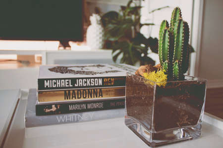 stack,  books,  interior design,  cactus,  plant,  white,  television,  nature,  glass