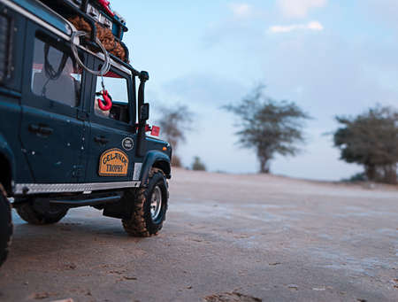 adventure,  land drover,  desert,  sand,  travel,  car,  transport,  plam,  tree,  tyre,  hook, ...