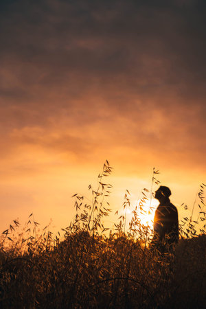 sunset,  silhouette,  clouds,  sky,  sun,  nature,  outdoors,  outside,  hiking,  warm,  orange, ...