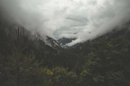 fog,  mountain,  forest,  valley,  clouds,  mist,  nature,  outdoors,  travel,  explore,  adventure,...