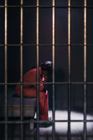 woman,  prison,  jail,  imprisoned,  justice,  arrest,  punishment,  law,  jailhouse,  criminal, ...