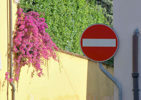 stop,  sign,  street,  europe,  road,  traffic,  symbol,  warning,  city,  european,  flowers, ...