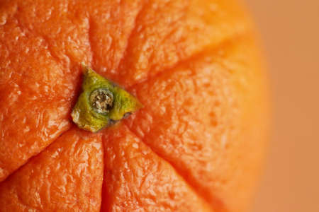 orange,  fruit,  macro,  texture,  food,  citrus,  skin,  fresh,  healthy,  ingredient,  mandarin, ...