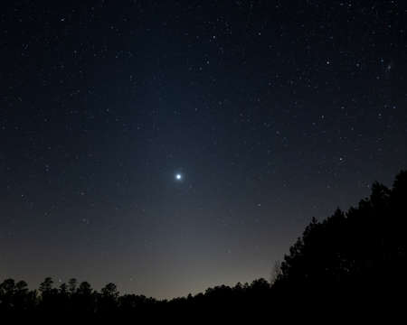 night,   starry,   sky,   space,   silhouette,   nature,   nighttime,   astronomy,   outdoors,  ...