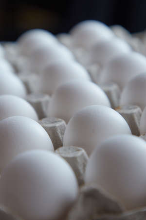 eggs,  carton,  food,   white,   ingredient,   chicken,   assortment,   cooking,   breakfast,  ...