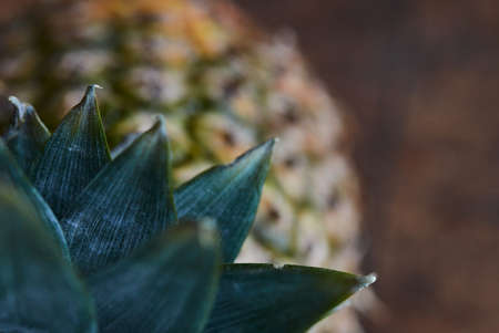 pineapple,  fruit,  close up,  top,  texture,  food,  leaves,  ripe,  tropical,  healthy,  eating, ...